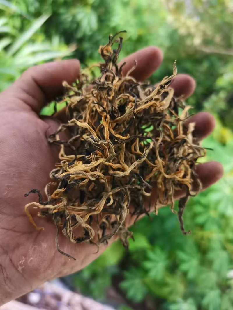 红茶、滇红、普洱、香甜、活动特价