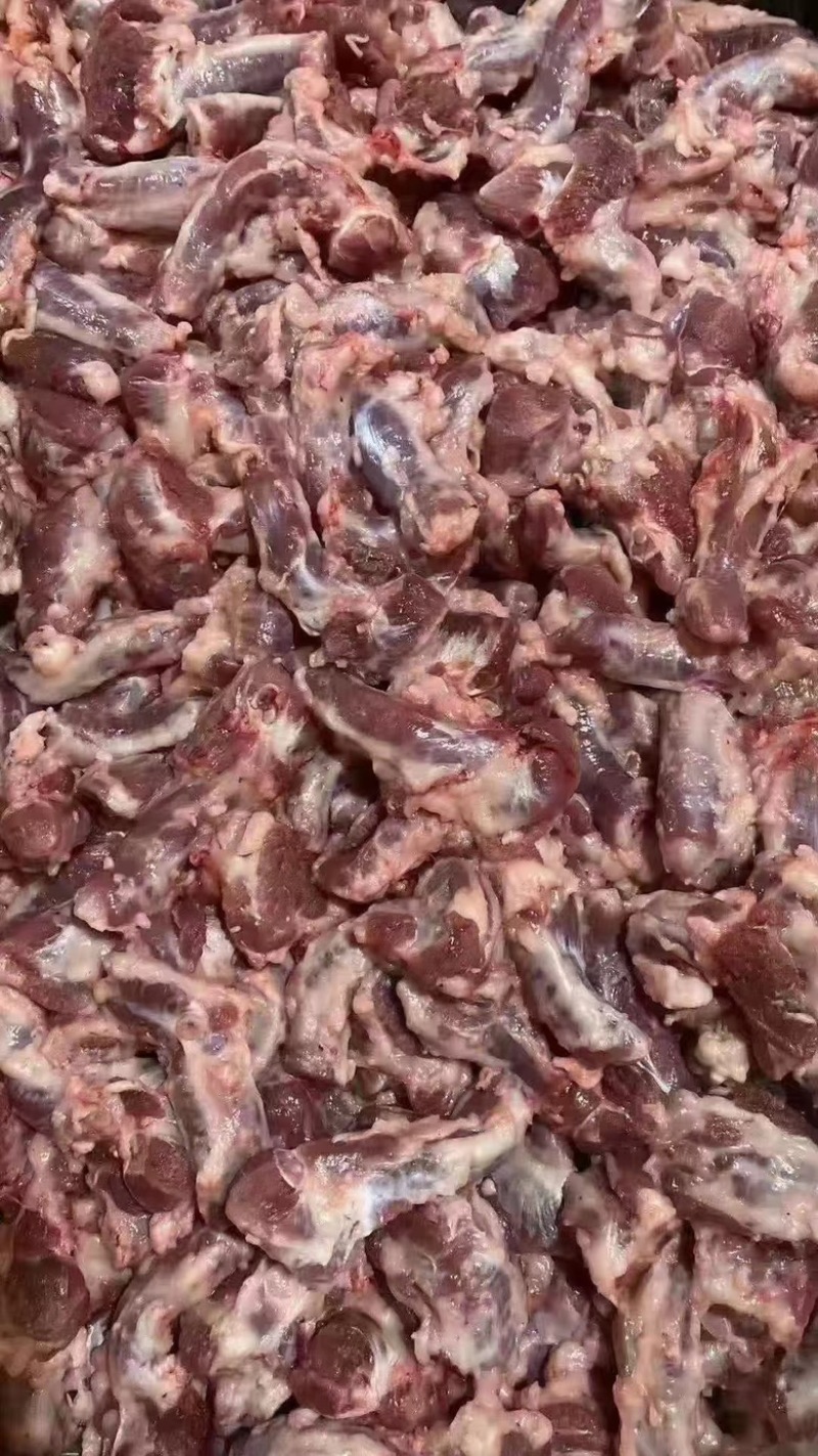 羔羊碎肉，羔羊鞭根肉烧烤炖穿串**