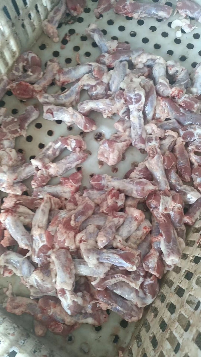 羔羊碎肉，羔羊鞭根肉烧烤炖穿串**