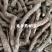 仙茅水洗新货关书药业1000g起批实拍图规格齐全