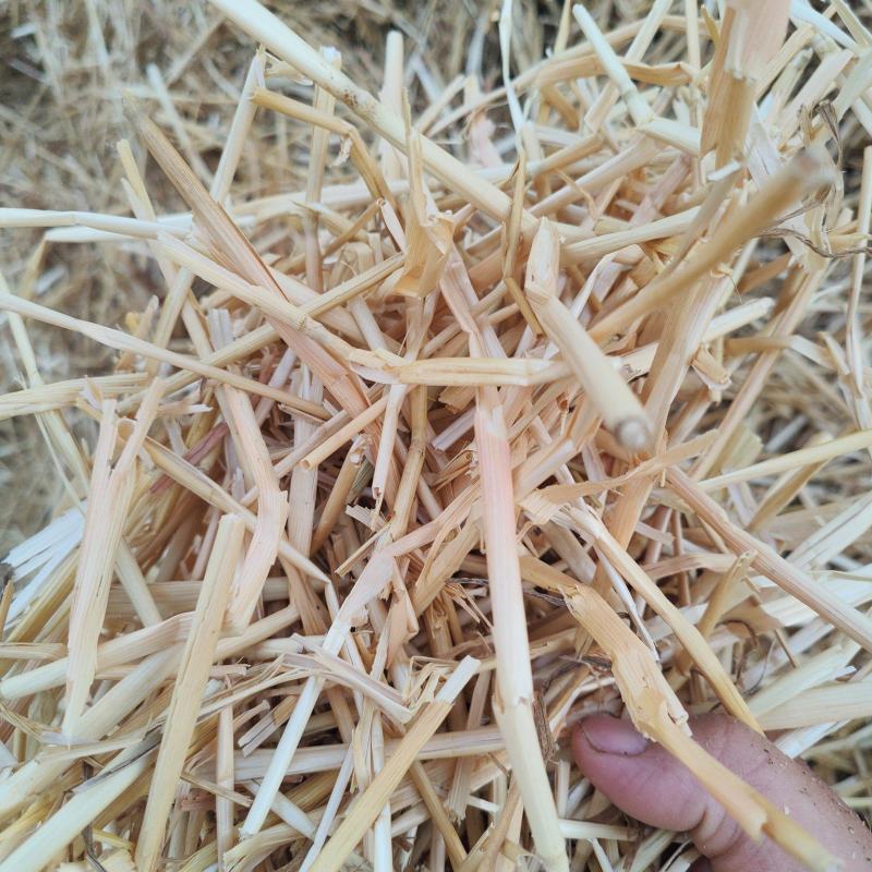 麦草精品压块柔丝小套袋麦秸