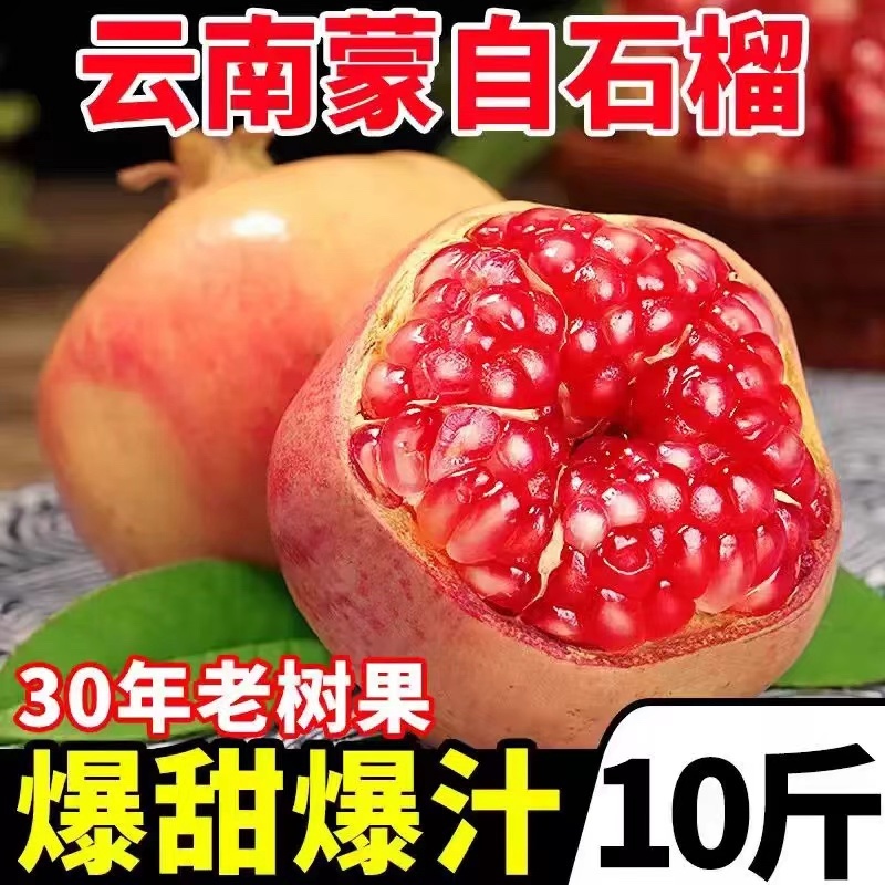 蒙自万亩石榴