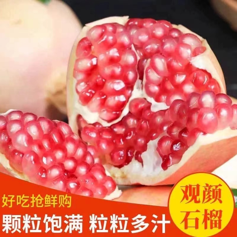 蒙自万亩石榴