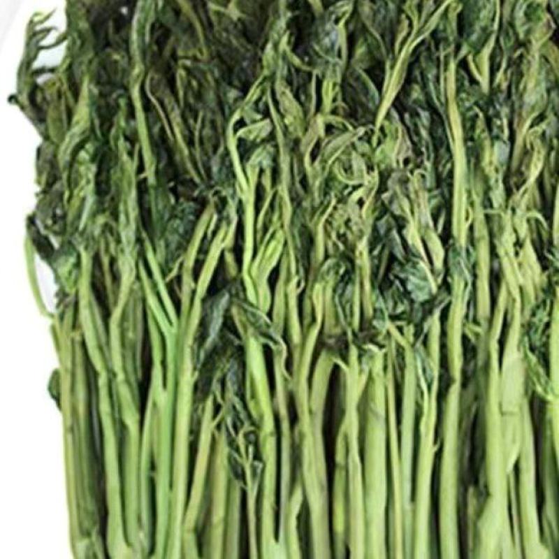 盐渍香椿源头，产品全是现货，主打全网性价比**。