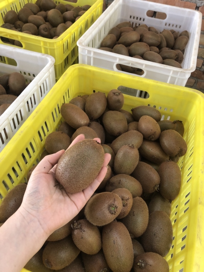 周至翠香产地一件代发，接团购，各种规格包装