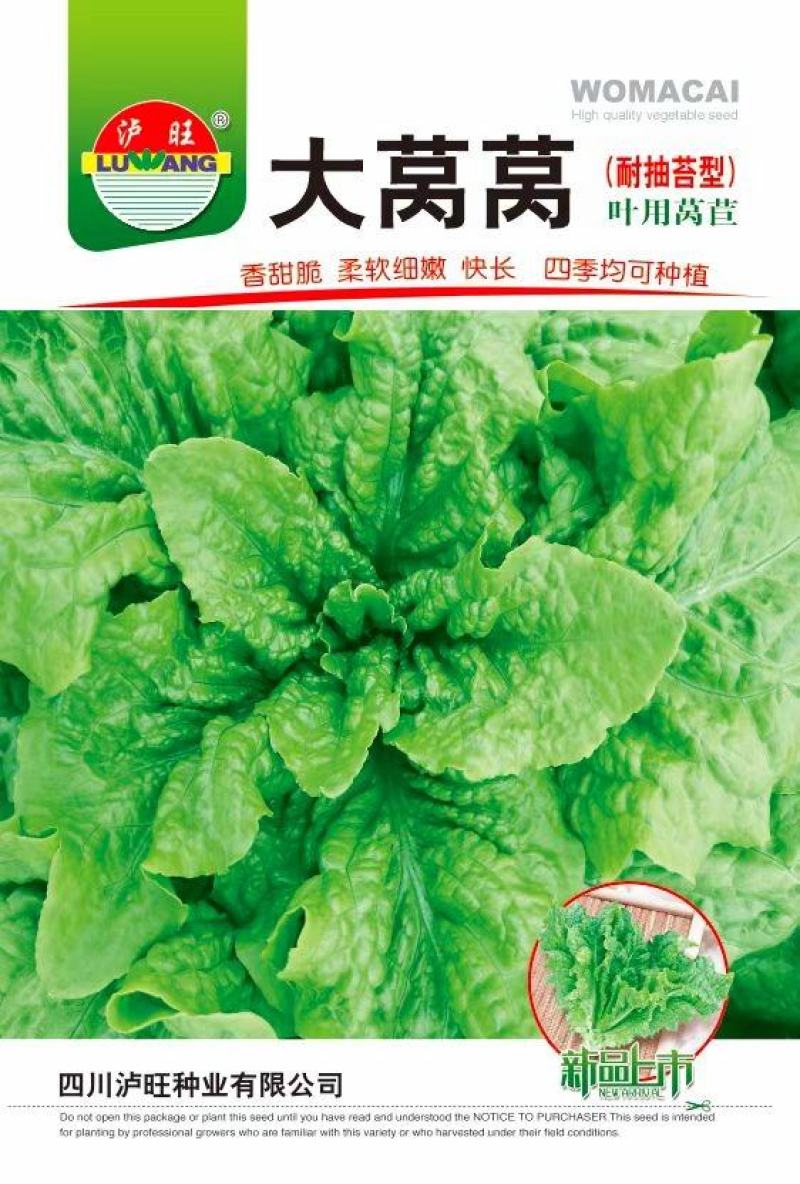 莴笋种子大莴莴叶用莴笋耐抽苔香甜脆柔软可口四季可种