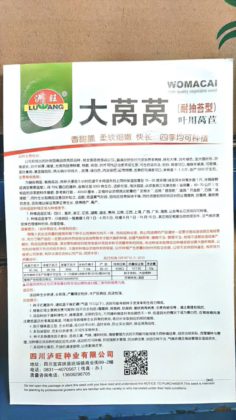 莴笋种子大莴莴叶用莴笋耐抽苔香甜脆柔软可口四季可种