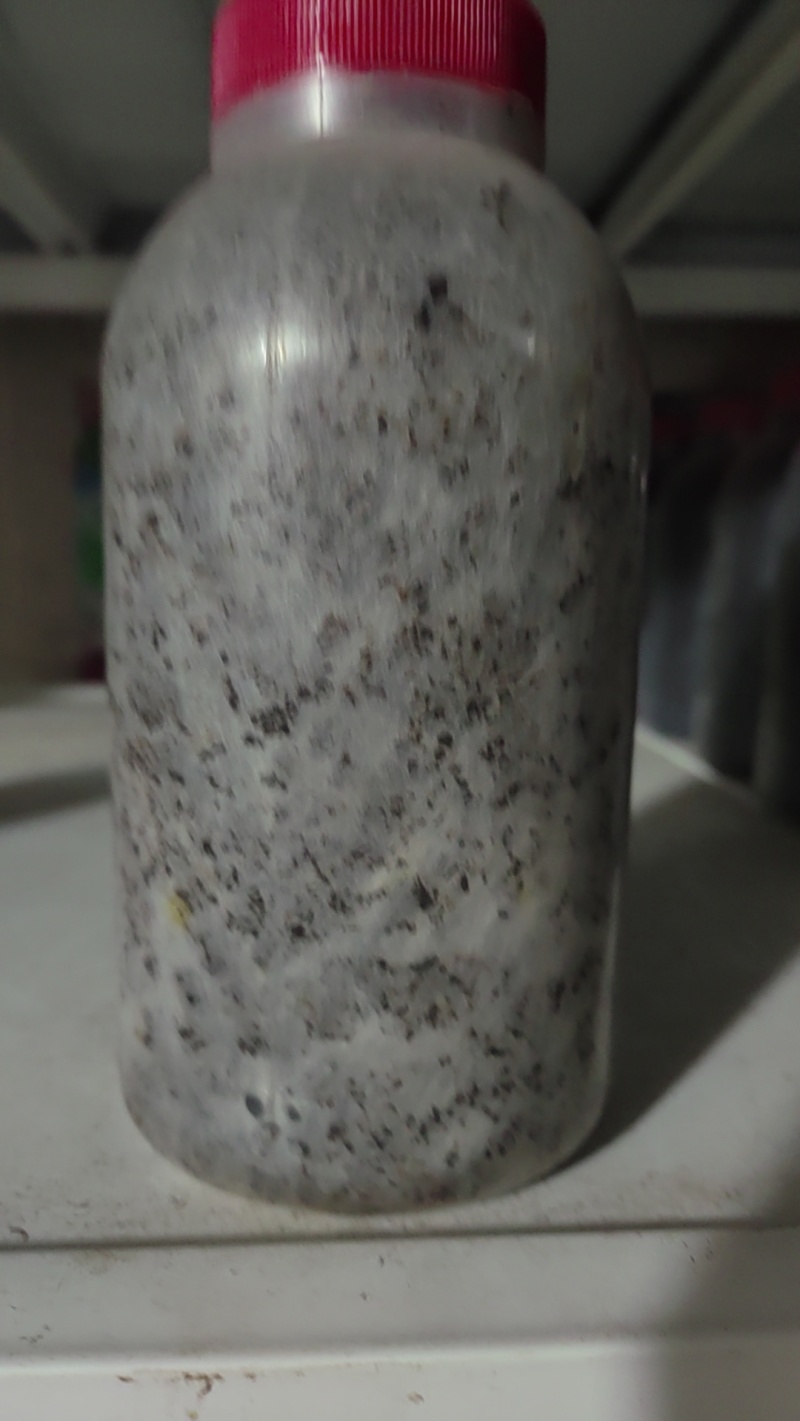 羊肚菌母种六妹！七妹！18X180mm规格！PDA培养基