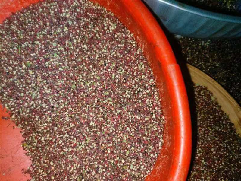 红泡椒用于烹饪场景