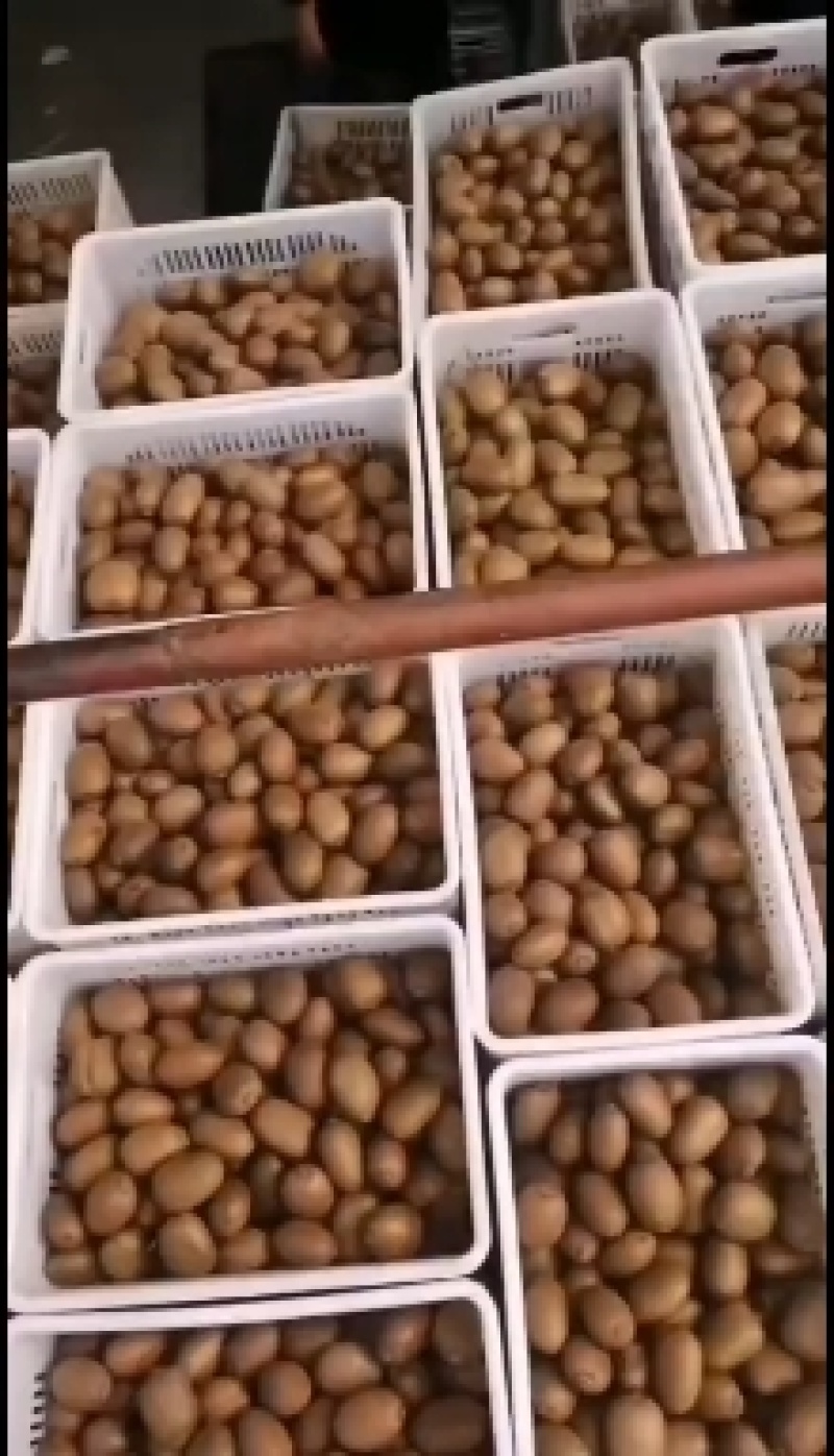 陕西眉县冷库徐香猕猴桃（小果丶中小果丶炸汁果丶电商果