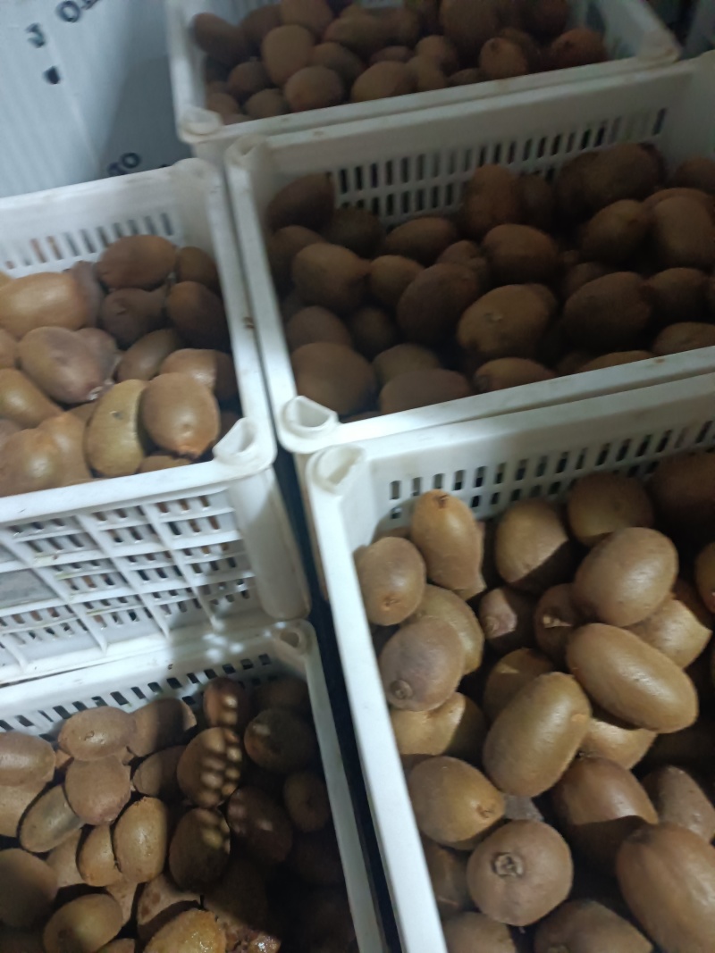 陕西眉县冷库徐香猕猴桃（小果丶中小果丶炸汁果丶电商果