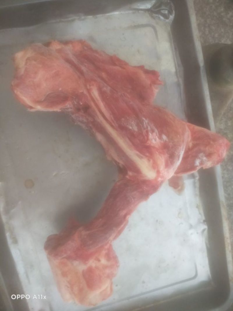 猪尾骨