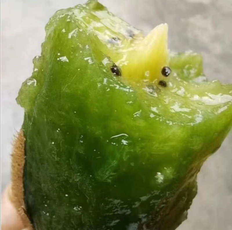 陕西奇异果秦美亚特猕猴桃专业产销一条龙规格全按需配