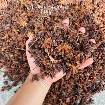 广西新大红八角春花五成干八成干全干各种干度可订做各种干度