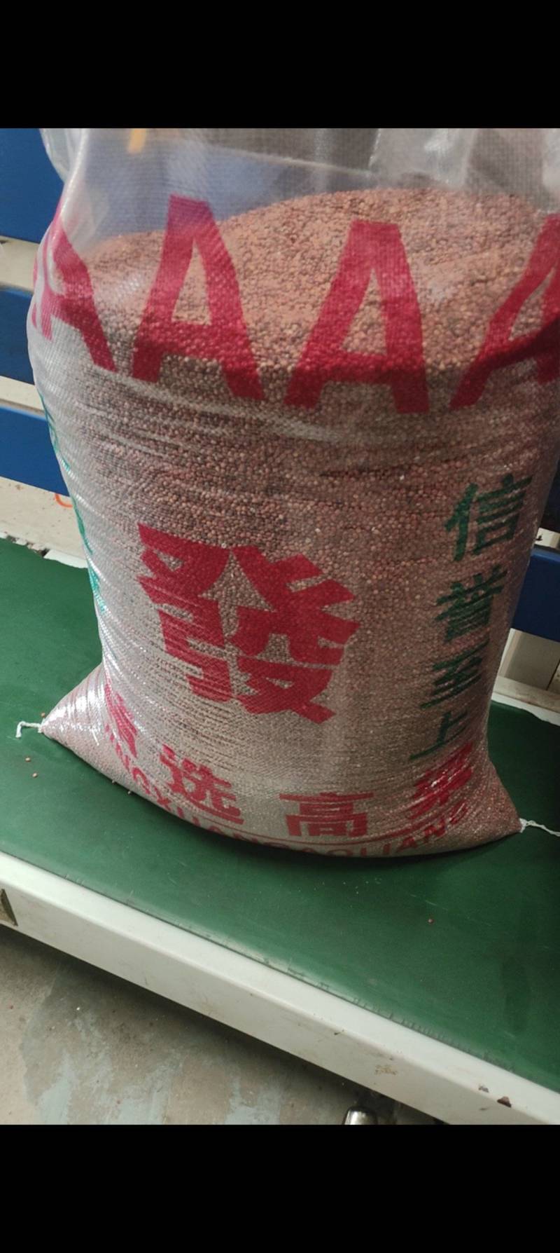 澳州红高粱，美粱，阿粱，颗粒饱满，量大优惠。