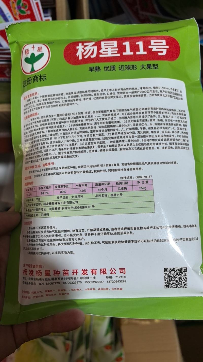 杨星11号洋葱种子