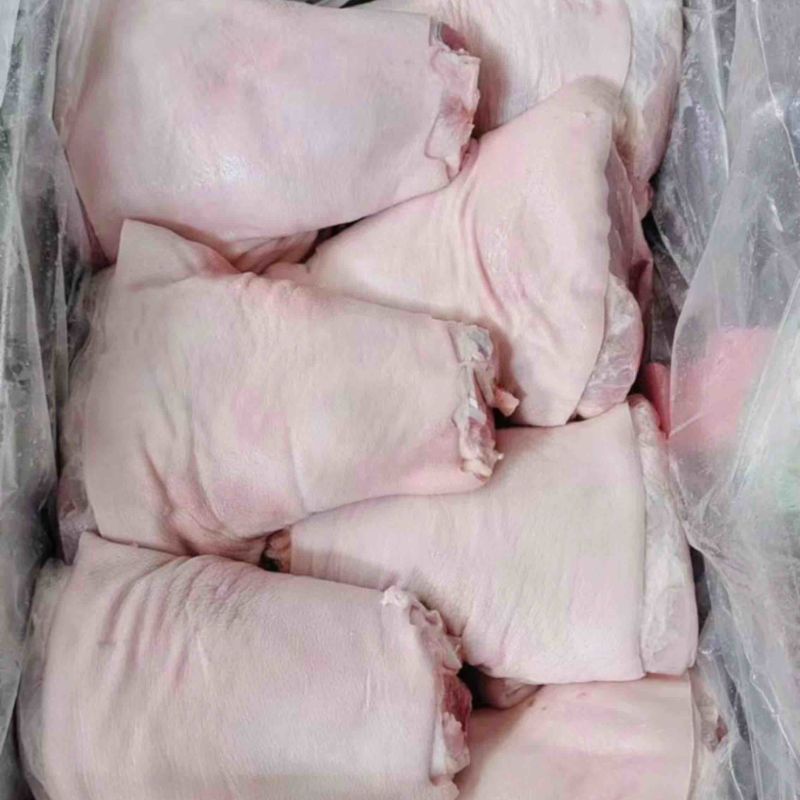 精品国产猪前肘后肘厂家一手货源品质保证欢迎来电