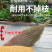 老式天然铁扫把植物草不粘毛家用扫地扫把环卫大扫帚庭院户外