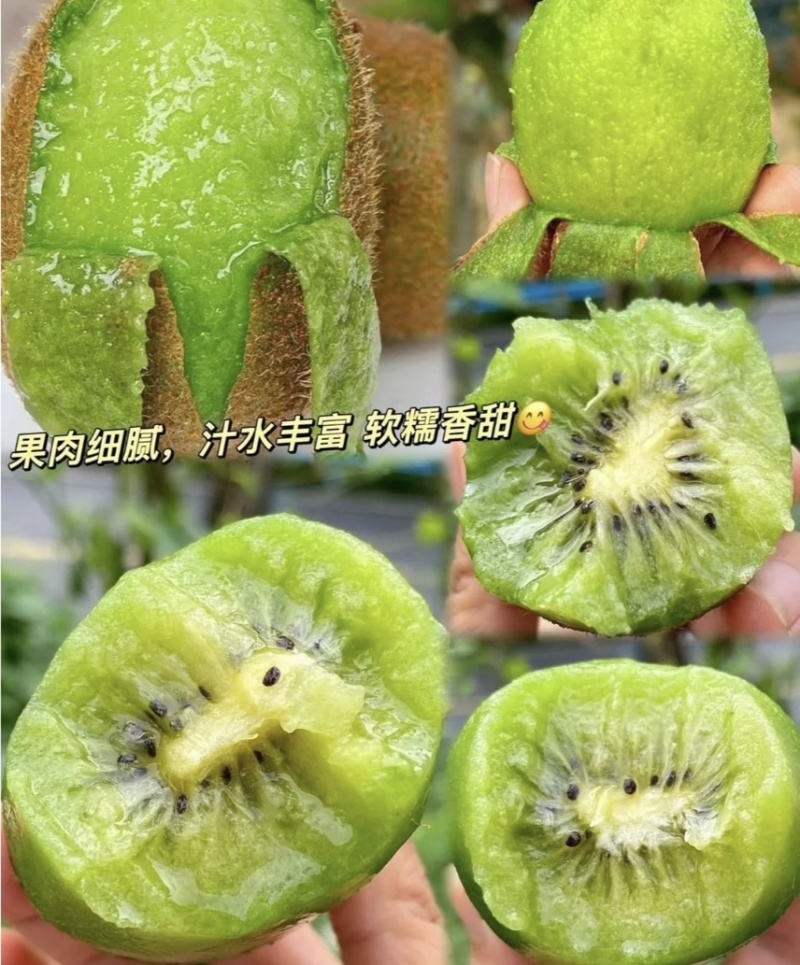 【一件代发】陕西猕猴桃-翠香猕猴桃-顺丰包邮-现摘现发