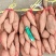 龙九1-3，支持各种包装，各种规则，满足一切要求