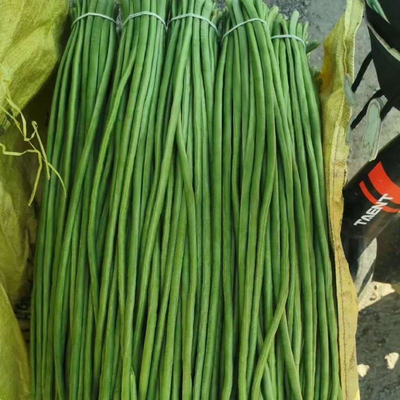 长豆角，长青条，绿油油豇豆。通货，精品，次品