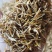 素馨花中药材别名:素英耶悉茗花野悉蜜基地供货量大价优