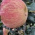 蜜翠苹果