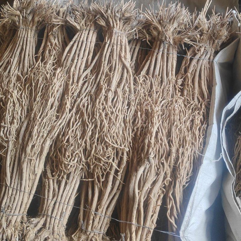 甘肃关防风，关防风，精品防风大统货，统货