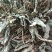车前草野生，出产地贵州遵义绥阳县，全草无硫干货