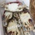 梭子蟹，各种规格，品质好，价格低，货源充足，欢迎咨询