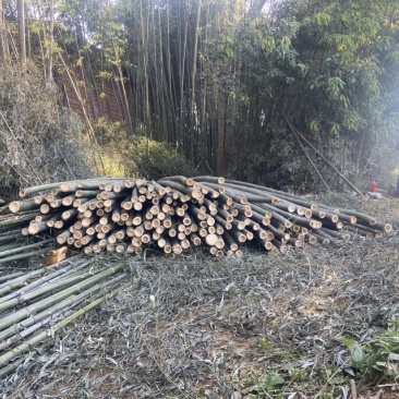 楠竹量大从优，各种规格定制，欢迎来电咨询