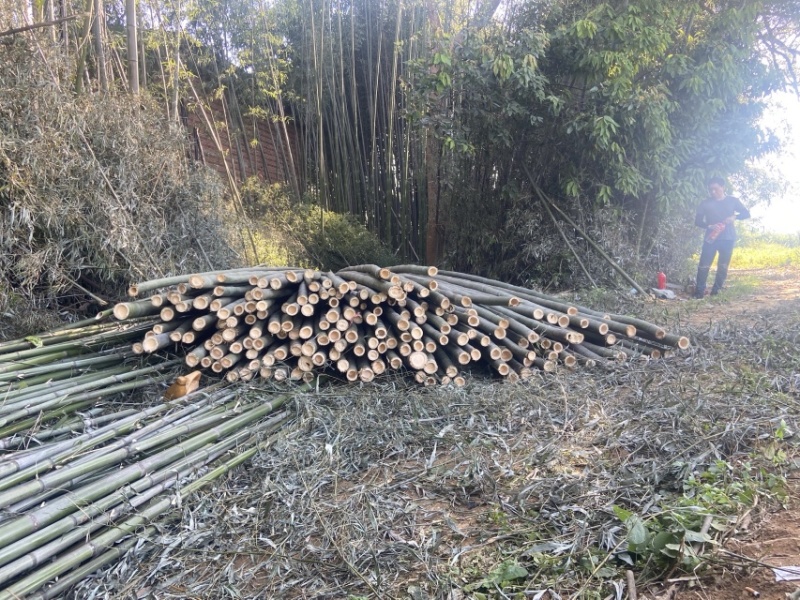 楠竹量大从优，各种规格定制，欢迎来电咨询