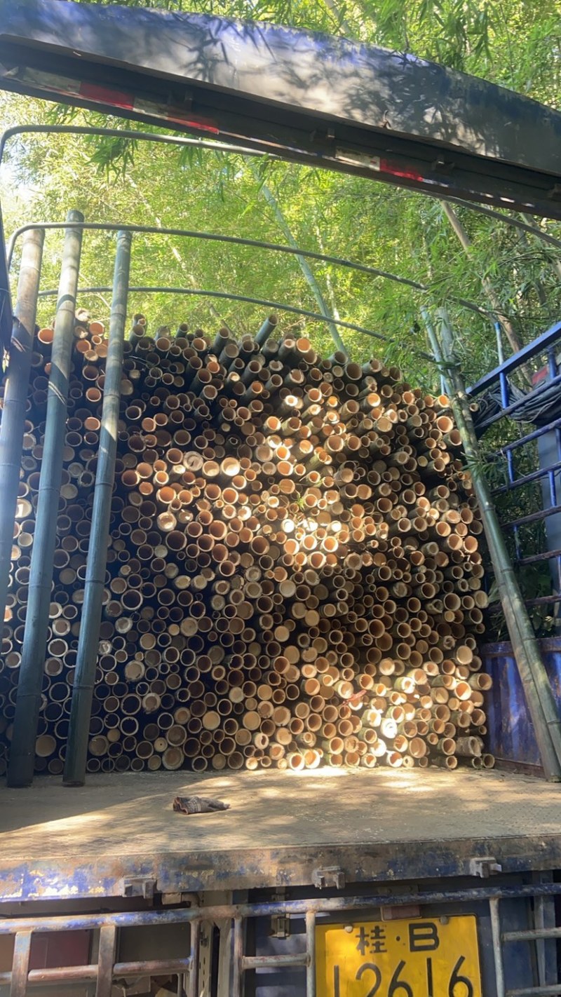 楠竹量大从优，各种规格定制，欢迎来电咨询