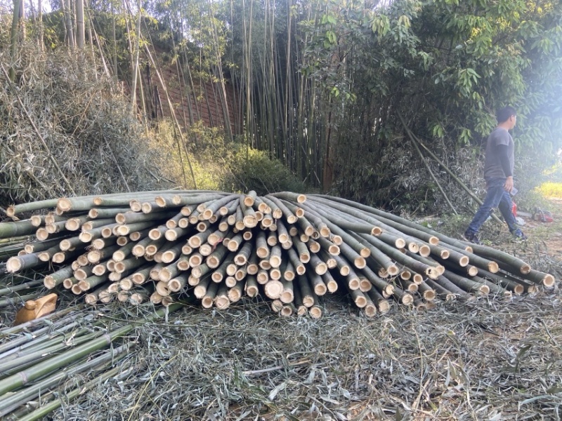 楠竹量大从优，各种规格定制，欢迎来电咨询
