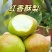 红香酥梨皇冠梨秋月梨玉露香梨产地直采，大量供应，全国代发