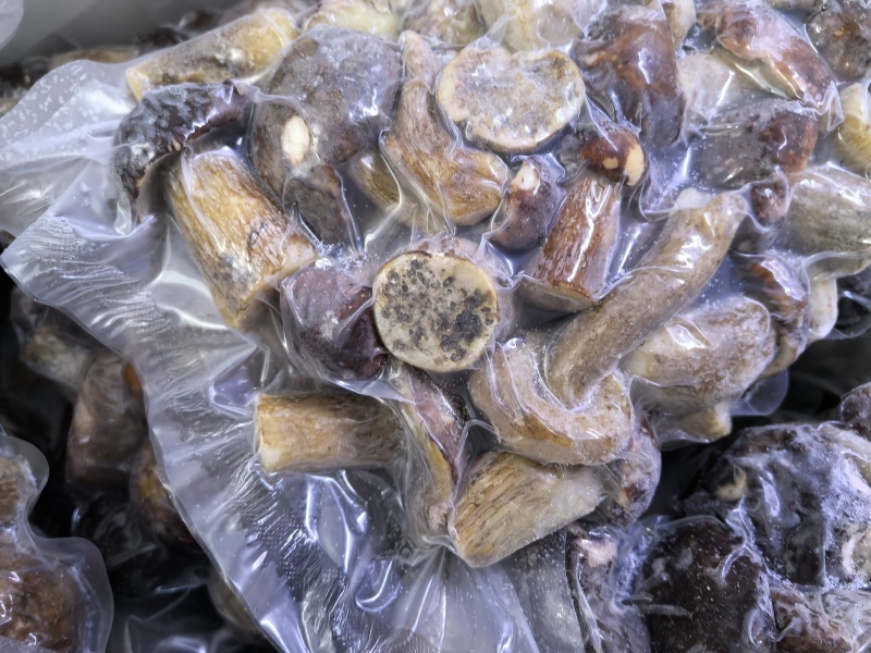 冷冻牛肝菌白牛肝美味牛肝