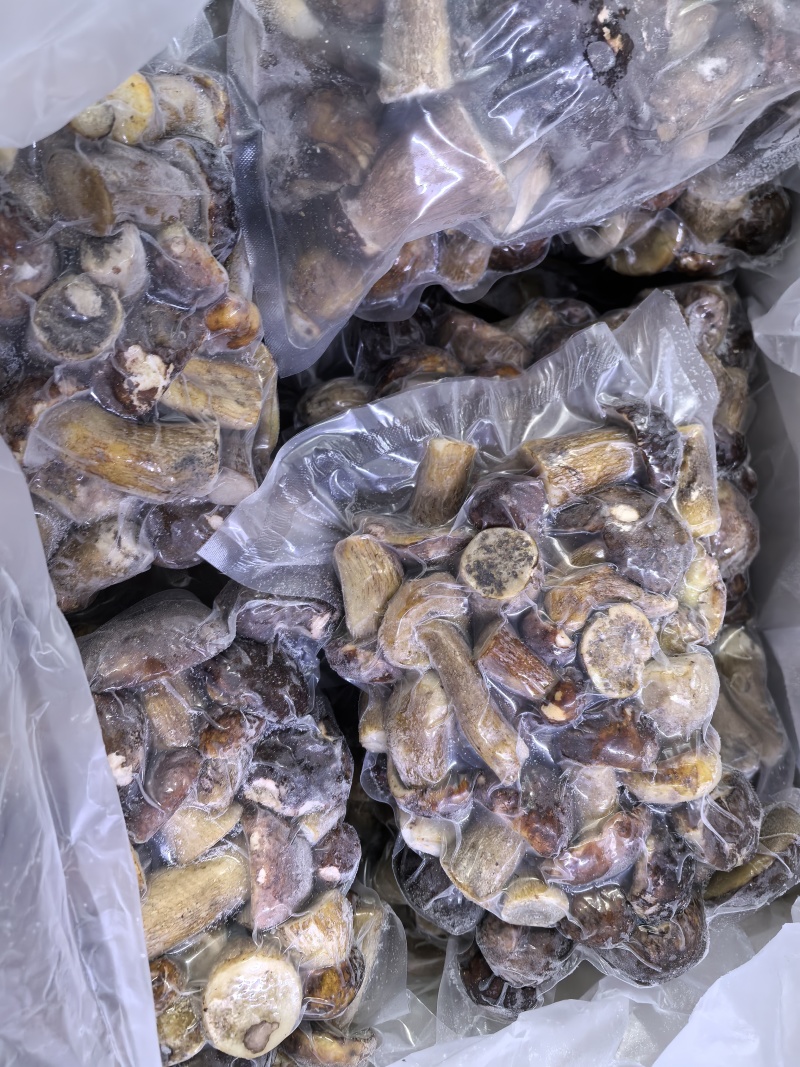 冷冻牛肝菌白牛肝美味牛肝