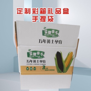 定制各种型号纸箱彩箱礼品盒手提袋