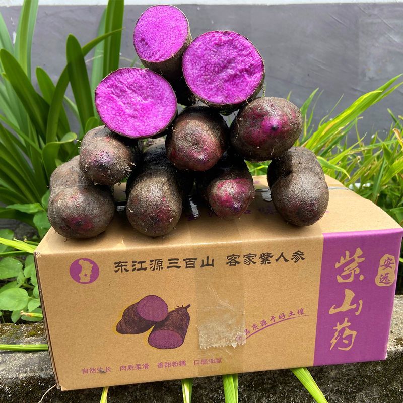 5斤包邮紫山药新鲜现挖紫大薯脚板薯农家种植山药紫薯现挖