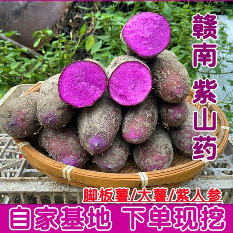 5斤包邮紫山药新鲜现挖紫大薯脚板薯农家种植山药紫薯现挖