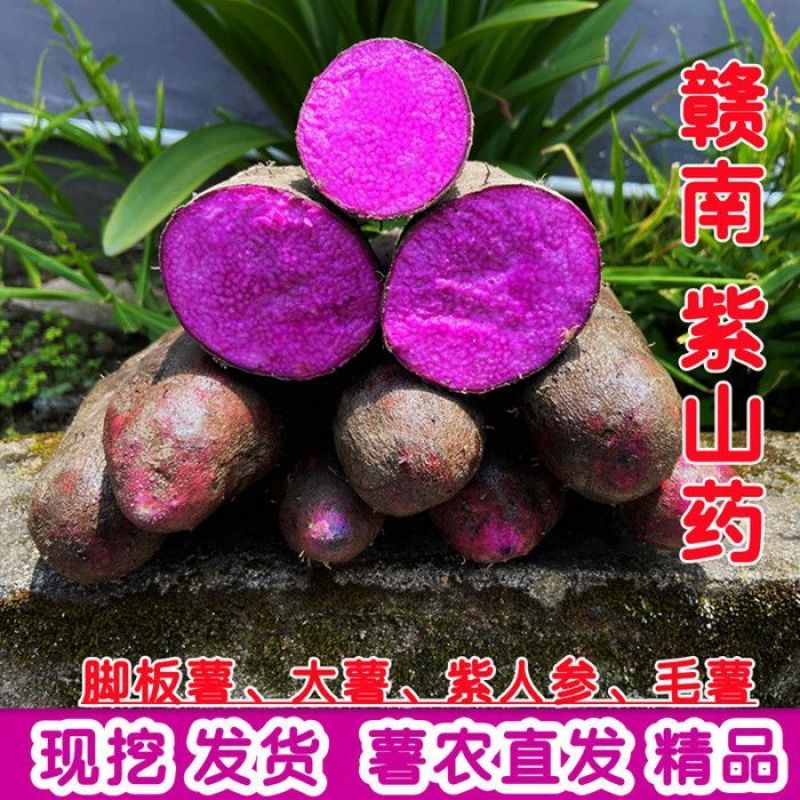 5斤包邮紫山药新鲜现挖紫大薯脚板薯农家种植山药紫薯现挖