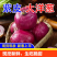 洋葱/红皮洋葱/通许洋葱/产地批发/量大从优/欢迎采购