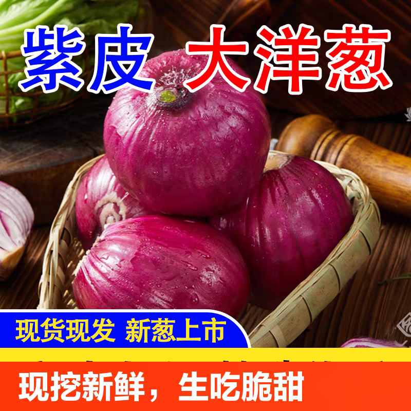 洋葱/红皮洋葱/通许洋葱/产地批发/量大从优/欢迎采购