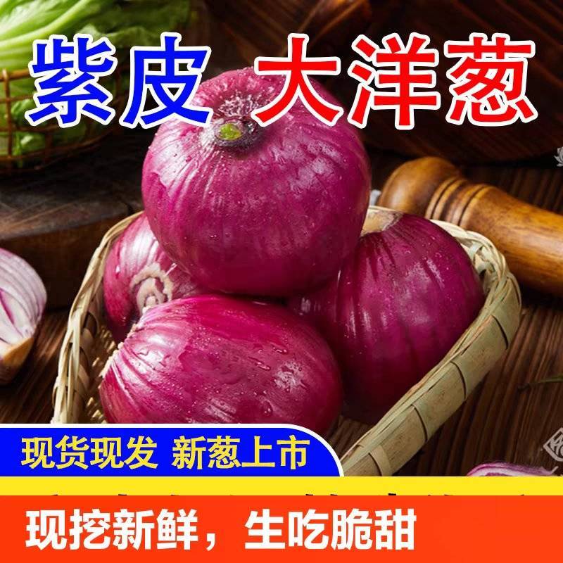 洋葱/红皮洋葱/通许洋葱/产地批发/量大从优/欢迎采购
