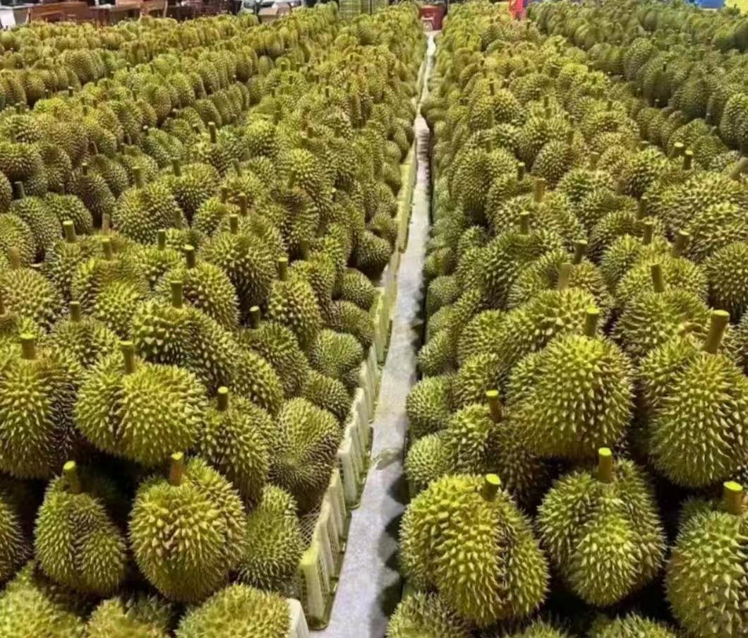 金枕头榴莲市场销售场景