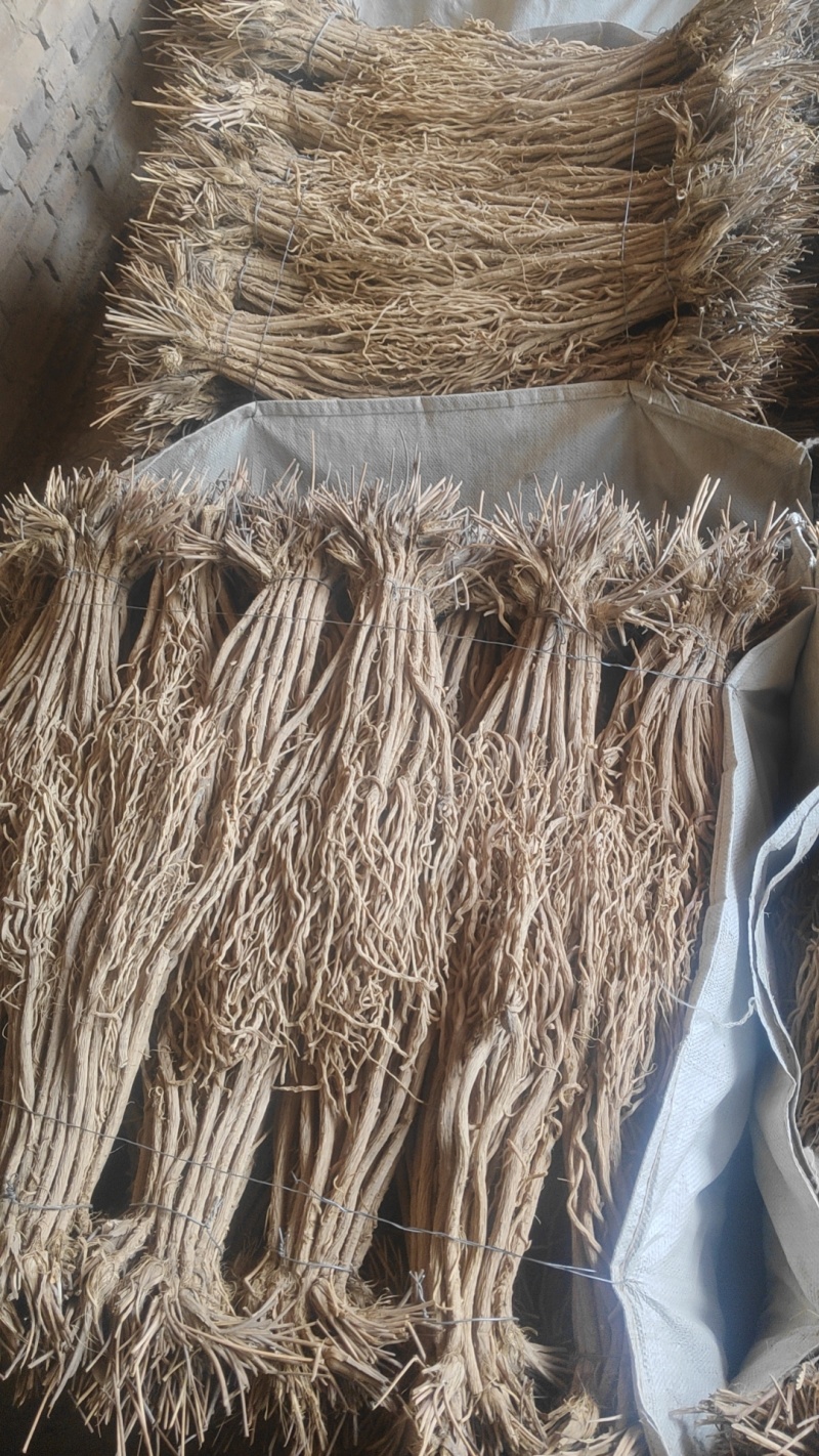 甘肃关防风，关防风，精品防风大统货，统货