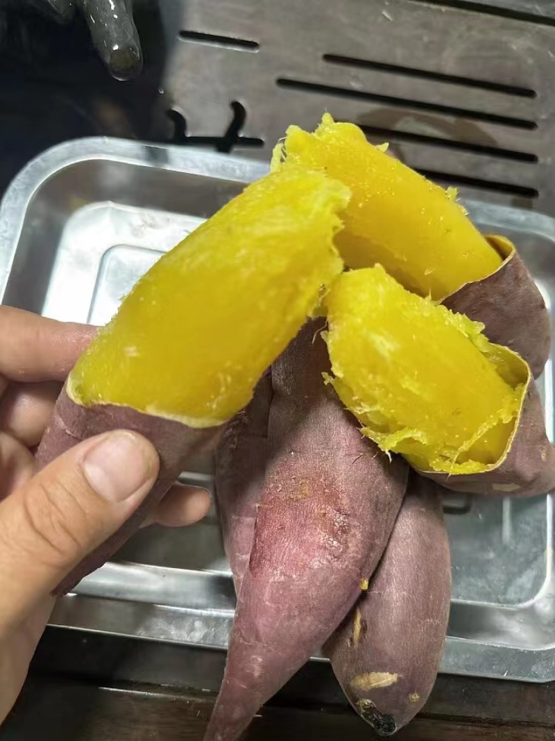 天津宁河红瑶红薯，精选品种基地直发价格优惠品质保障