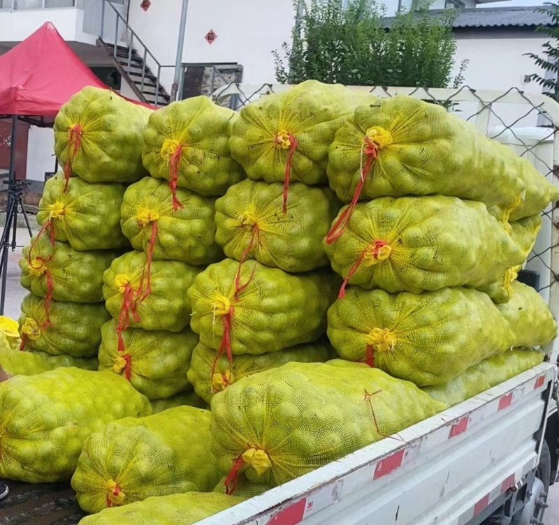 青皮核桃