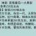 琳朗大果草莓番茄种子嘎啦果绿肩绿腚西红柿种籽丹东铁皮柿子