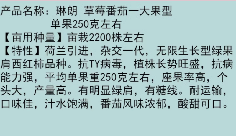 琳朗大果草莓番茄种子嘎啦果绿肩绿腚西红柿种籽丹东铁皮柿子